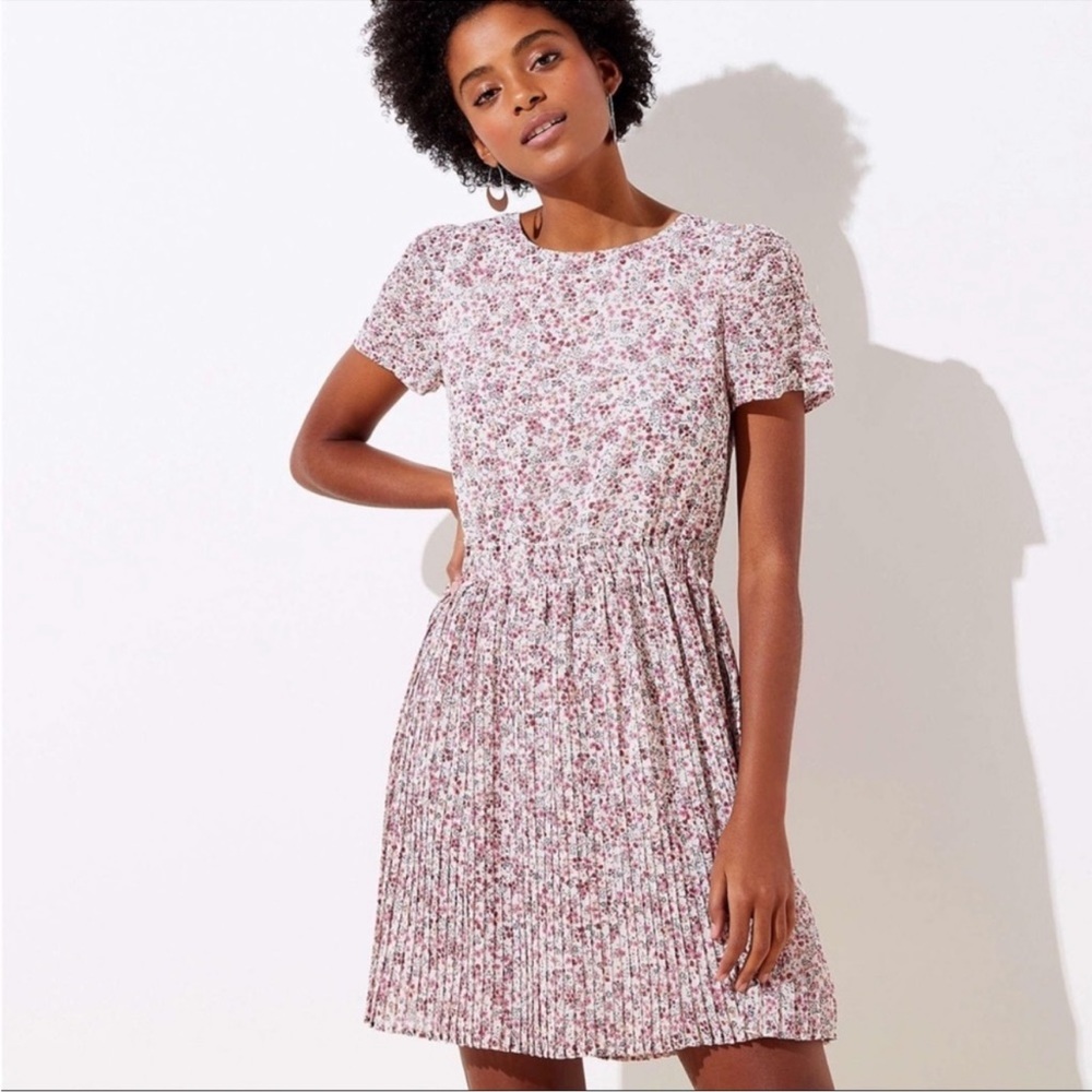 LOFT Floral Pleated Fit and Flare Dress, Size 8